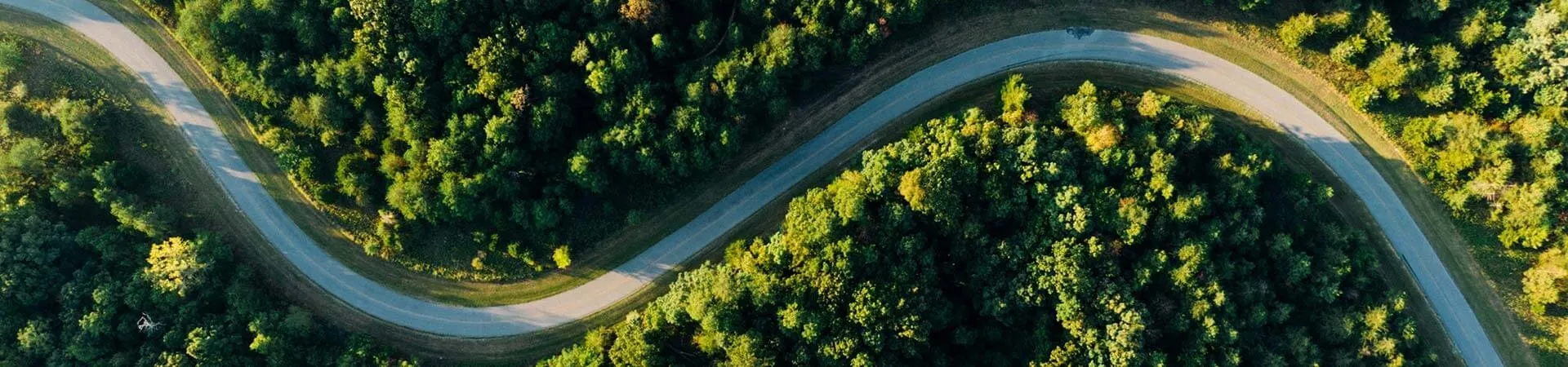 Aerial view of a road winding in an S-curve through dense green forest